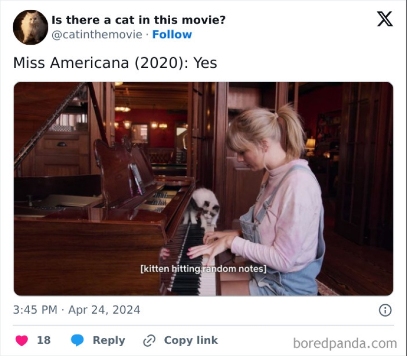 10 Times Cats Were Spotted In A Movie, Uncovered By This Account