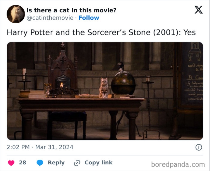 10 Times Cats Were Spotted In A Movie, Uncovered By This Account