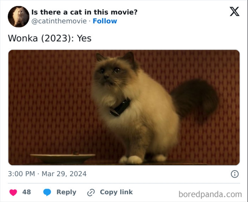 10 Times Cats Were Spotted In A Movie, Uncovered By This Account