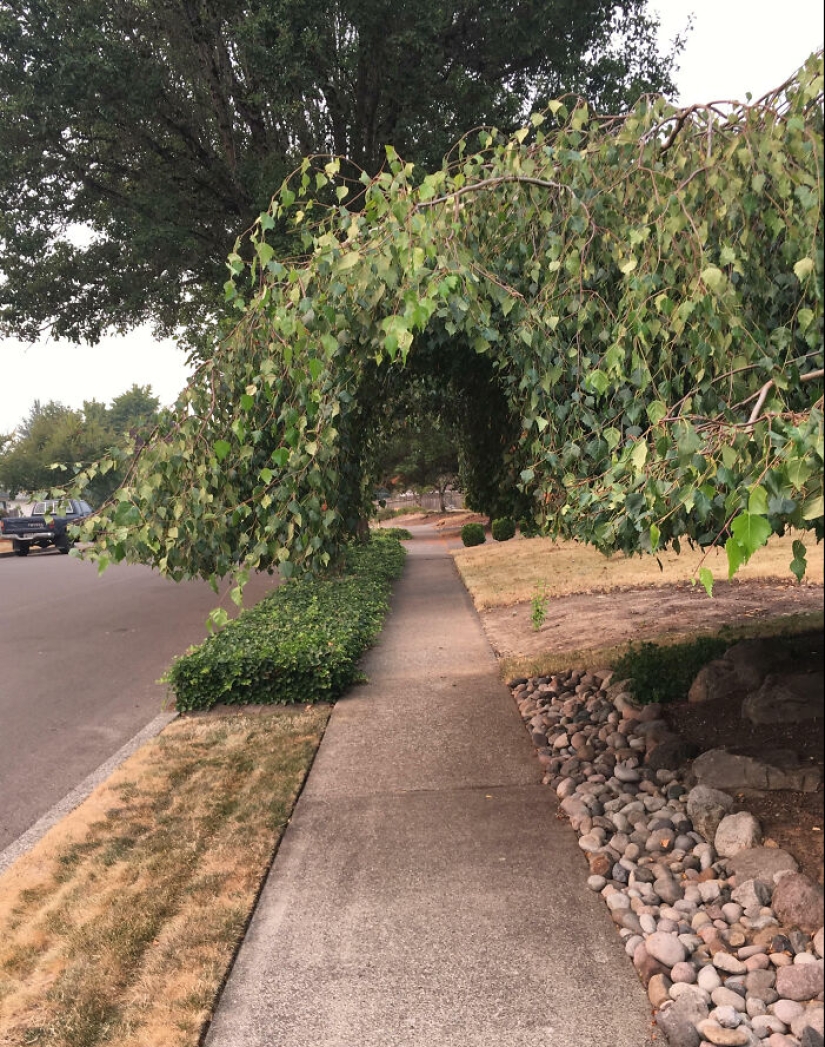 10 Times People Felt Pure Joy Living Next Door To Their Funny Neighbors