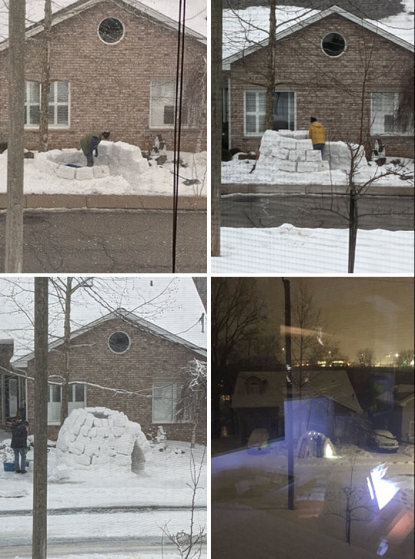 10 Times People Felt Pure Joy Living Next Door To Their Funny Neighbors