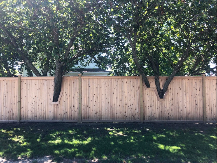 10 Times People Felt Pure Joy Living Next Door To Their Funny Neighbors