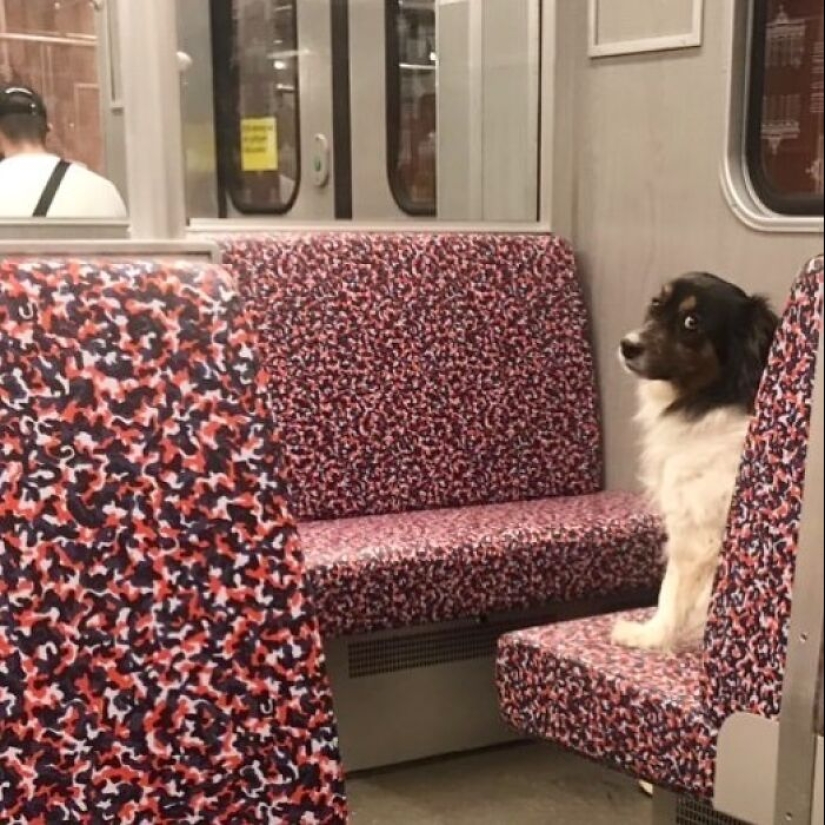 10 Times People Had To Look Twice To Understand What They Were Seeing On The Berlin Subway