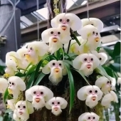 10 Times People Saw The Coolest Things And Just Had To Share On This Online Community