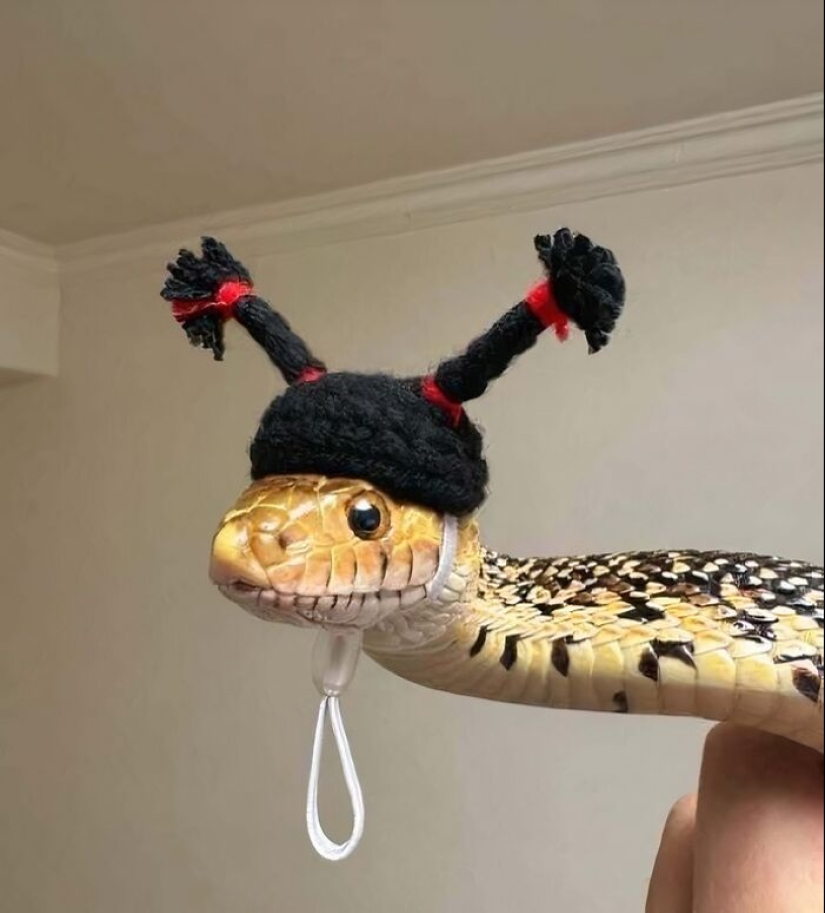 10 Times People Saw The Coolest Things And Just Had To Share On This Online Community