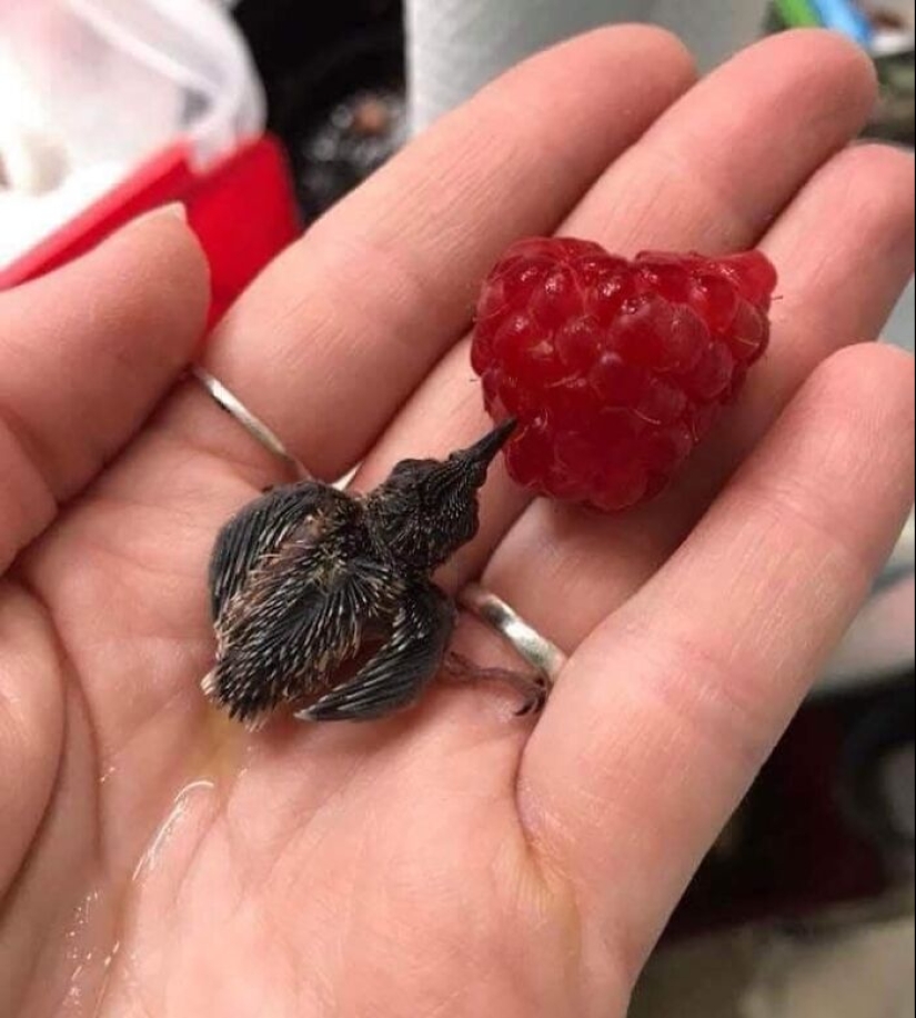 10 Times People Saw The Coolest Things And Just Had To Share On This Online Community