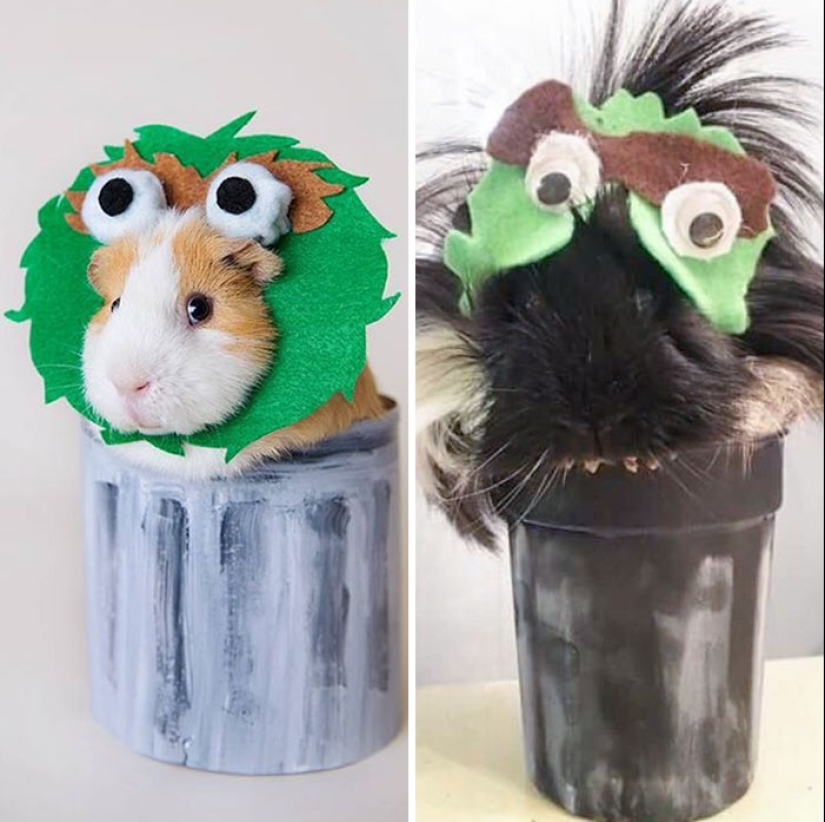 10 veces que la gente falló hilarantemente al crear manualidades de Pinterest en casa