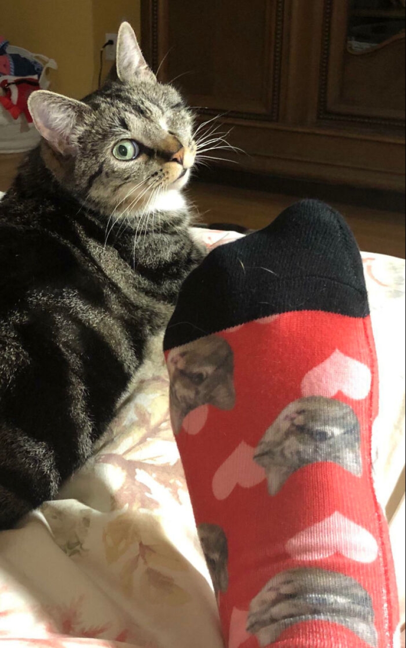 10 veces que la gente usó su increíble sentido del humor para sorprender a sus enamorados