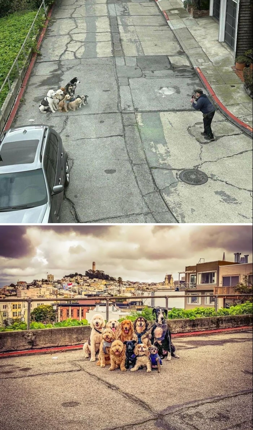 10 veces que los animales se portaron tan lindos que la gente solo tuvo que tomar una foto