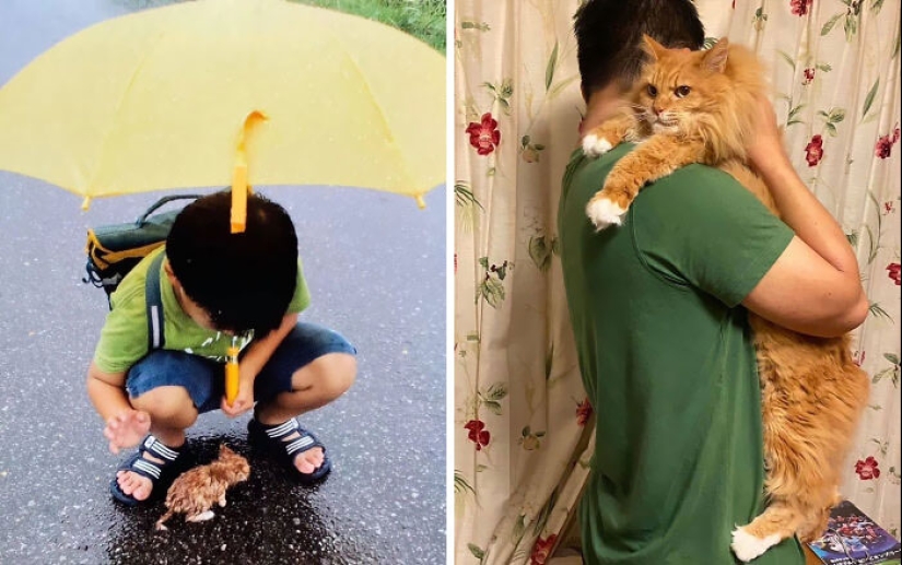10 veces que los animales se portaron tan lindos que la gente solo tuvo que tomar una foto