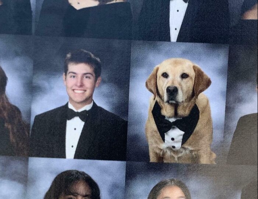 10 veces que los animales se portaron tan lindos que la gente solo tuvo que tomar una foto