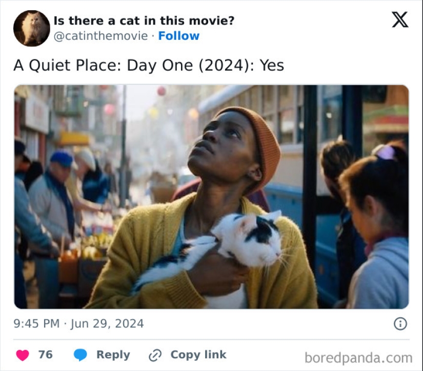 10 veces que se vieron gatos en una película, descubiertos por este relato 10 veces que se vieron gatos en una película, descubiertos por este relato
