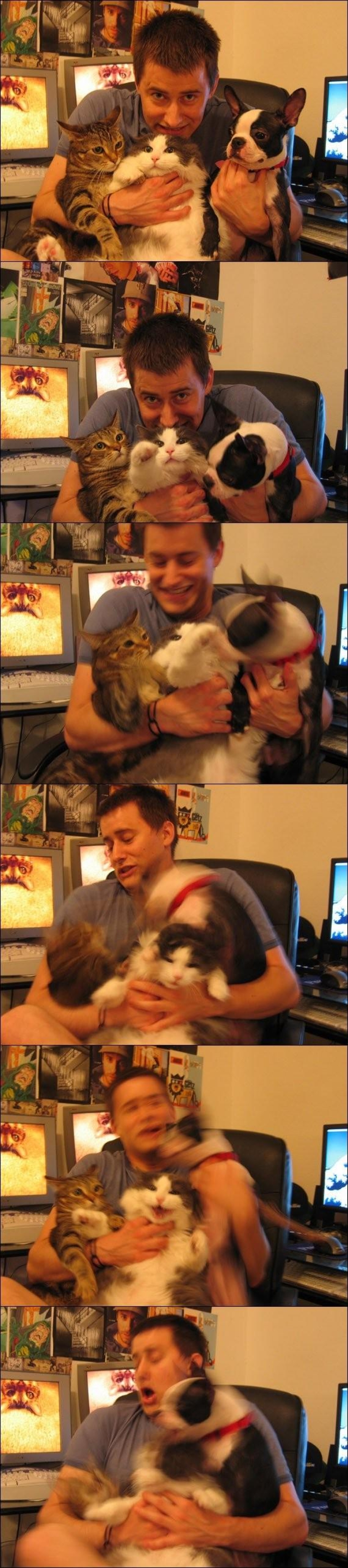100 best cat photos of all time 100 best cat photos of all time