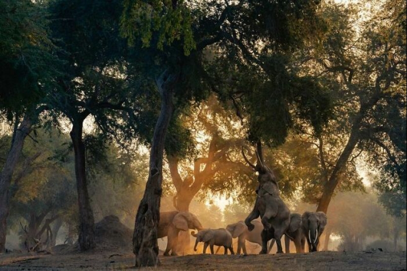 11 ganadores del mundo Nature Photography Awards 2024