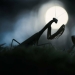 11 ganadores del mundo Nature Photography Awards 2024 11 ganadores del mundo Nature Photography Awards 2024