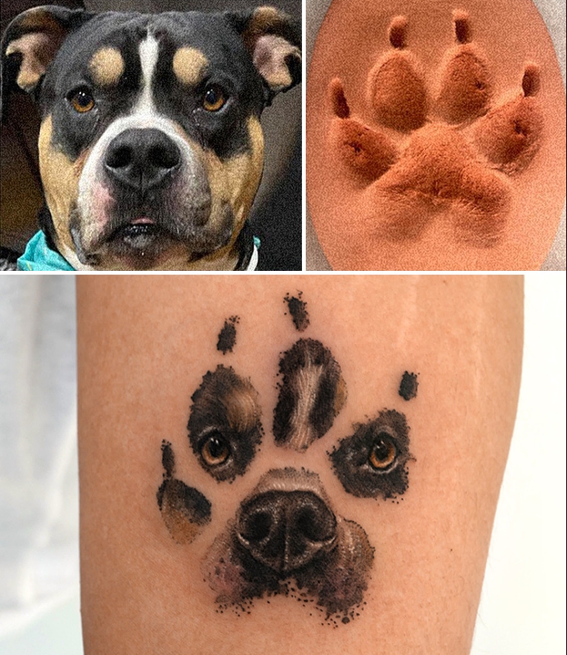 11 tatuajes que sus dueños apreciarán para siempre ya que presentan retratos realistas de sus mascotas
