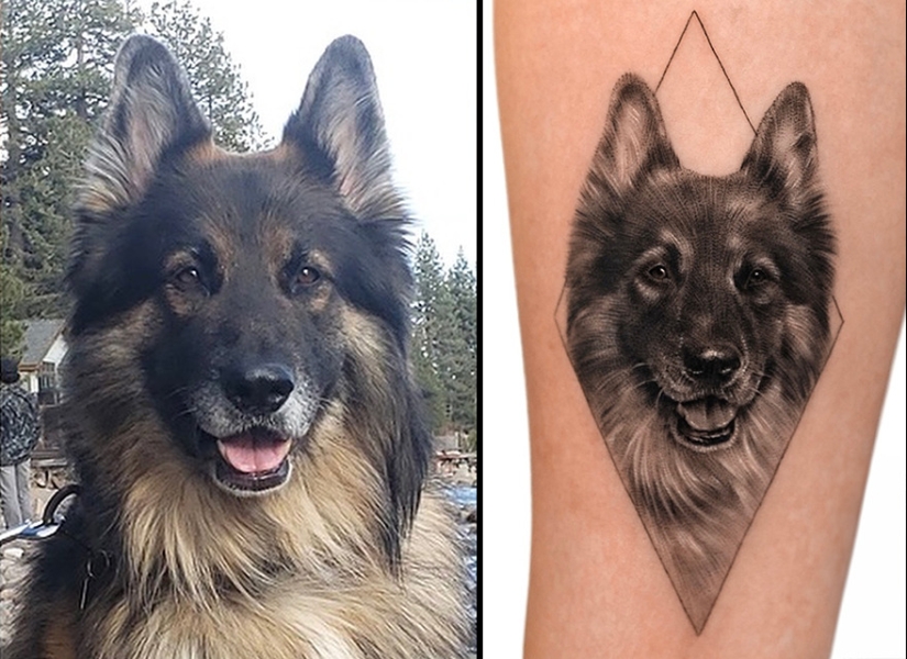 11 tatuajes que sus dueños apreciarán para siempre ya que presentan retratos realistas de sus mascotas