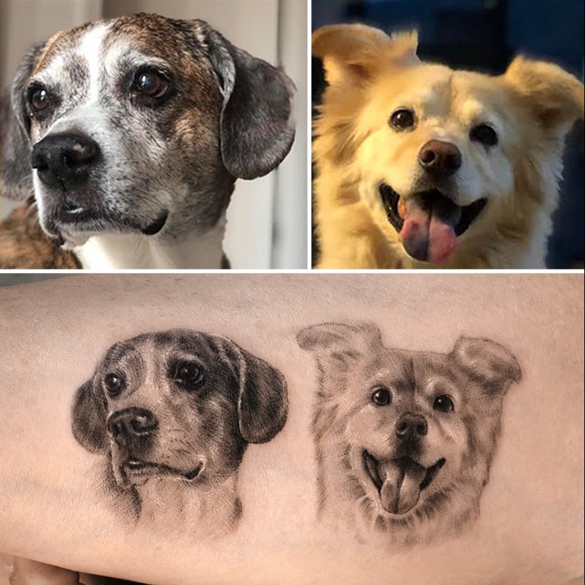 11 tatuajes que sus dueños apreciarán para siempre ya que presentan retratos realistas de sus mascotas