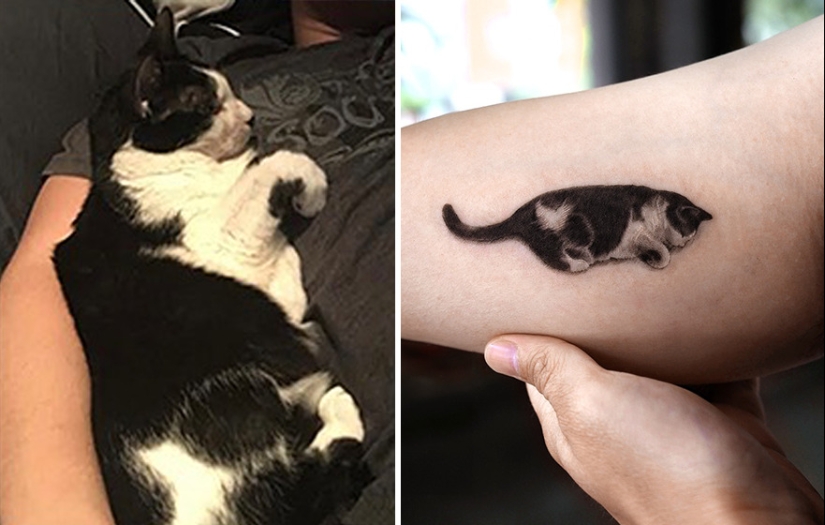 11 tatuajes que sus dueños apreciarán para siempre ya que presentan retratos realistas de sus mascotas