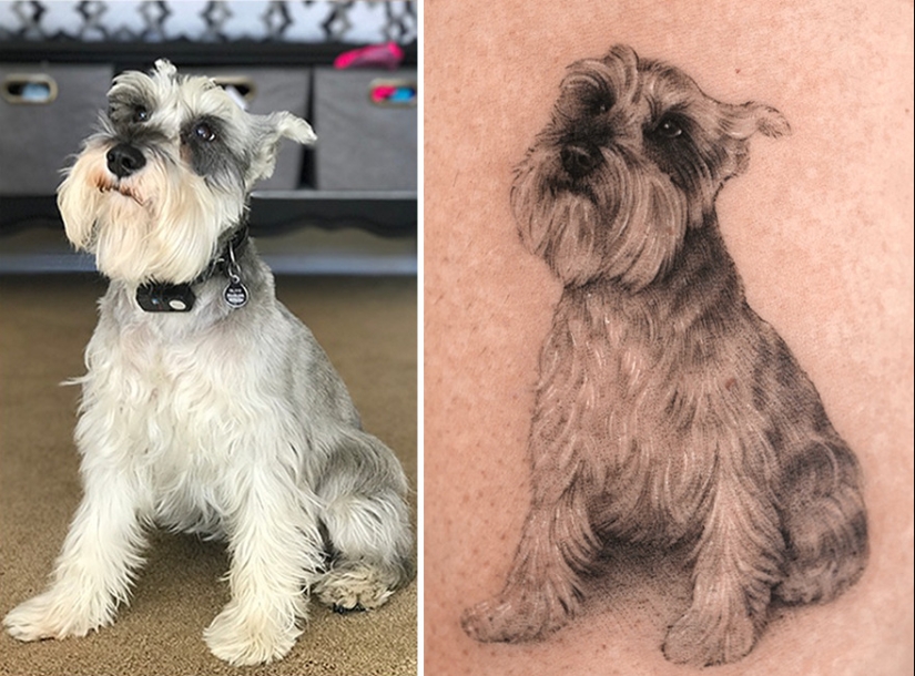 11 tatuajes que sus dueños apreciarán para siempre ya que presentan retratos realistas de sus mascotas