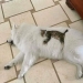 11 Wholesome And Unusual Animal Pics To Give You Some Serious Animal Therapy 11 Wholesome And Unusual Animal Pics To Give You Some Serious Animal Therapy