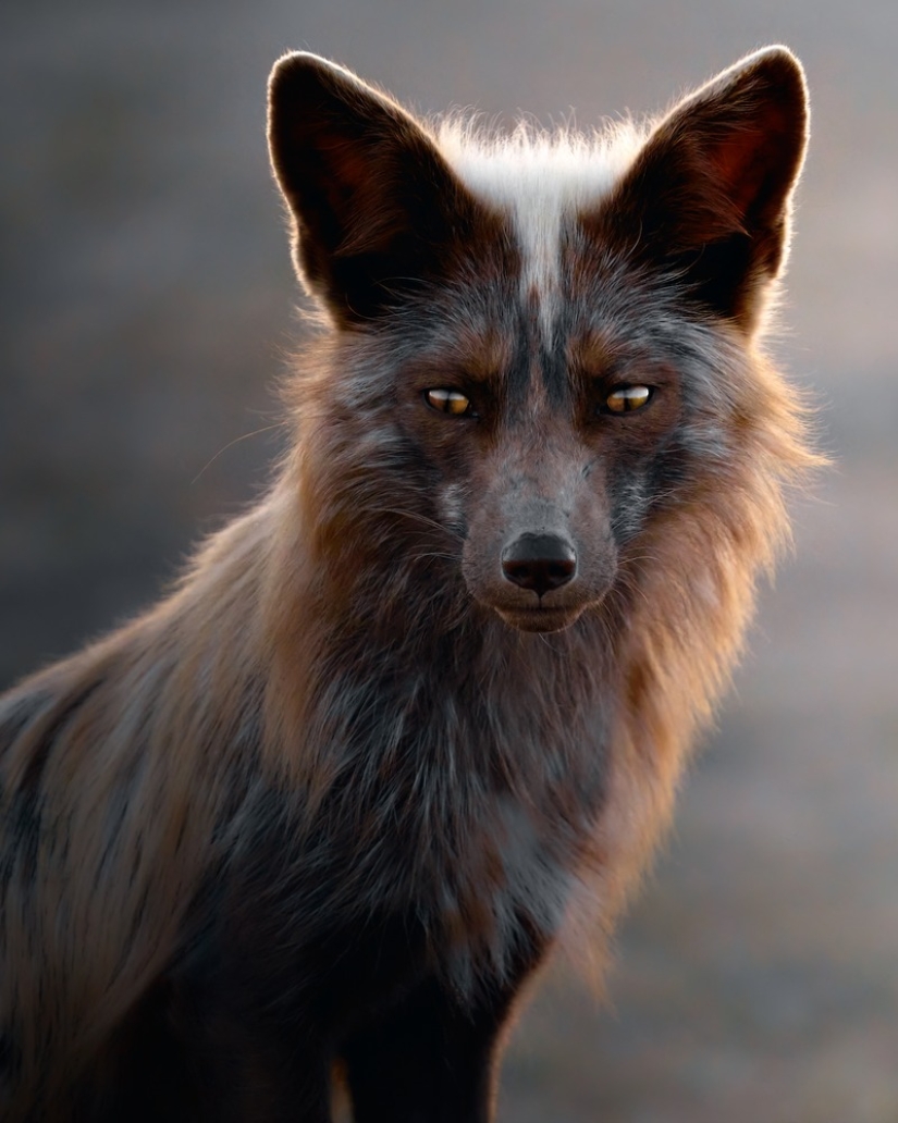 11 wildlife photos showing the metal, serene, and cheeky side of nature