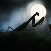 11 Winners Of The World Nature Photography Awards 2024 11 Winners Of The World Nature Photography Awards 2024