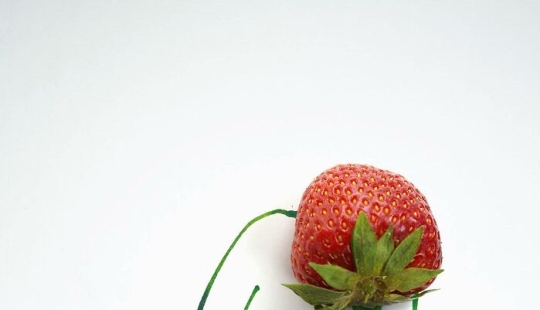 12 Captivating And Humorous Illustrations Created From Everyday Items By Christoph Niemann 12 Captivating And Humorous Illustrations Created From Everyday Items By Christoph Niemann