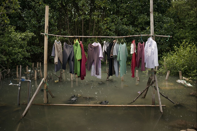 12 Eye-Opening Winning Images Of The 2024 Mangrove Photography Awards