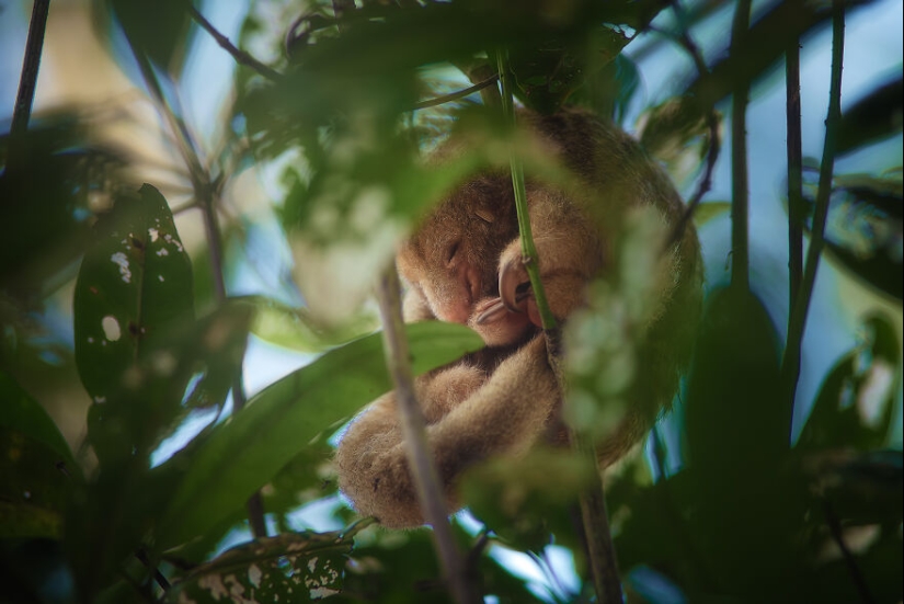 12 Eye-Opening Winning Images Of The 2024 Mangrove Photography Awards