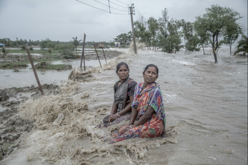 12 Eye-Opening Winning Images Of The 2024 Mangrove Photography Awards