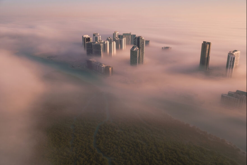 12 Eye-Opening Winning Images Of The 2024 Mangrove Photography Awards