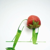 12 ilustraciones cautivadoras y divertidas creadas a partir de objetos cotidianos por Christoph Niemann