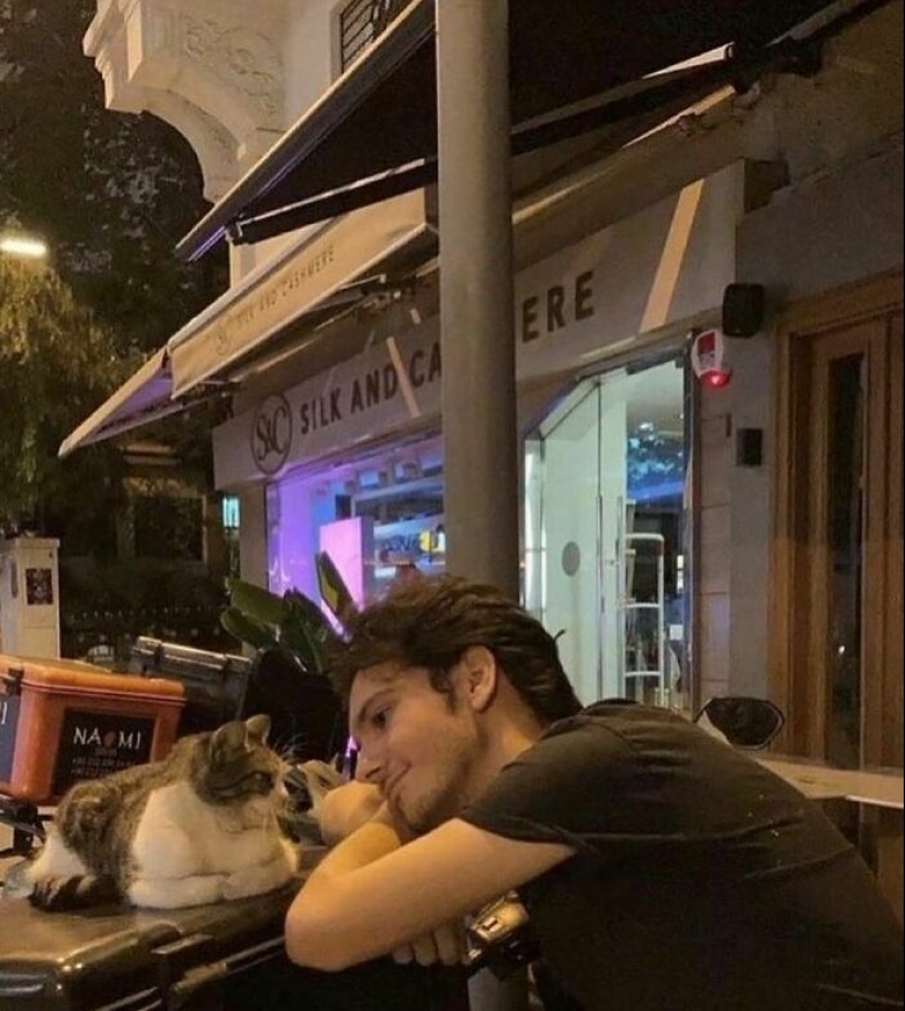 12 imágenes de mascotas siendo increíblemente tontas para hacerte reír