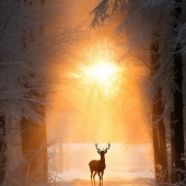 12 Landscape Images That Blur The Line Between Reality And Imagination By Daniel Greenwood 12 Landscape Images That Blur The Line Between Reality And Imagination By Daniel Greenwood