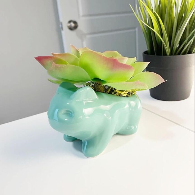 12 Must-Haves For Plant Parents Reaching For The Leafy Pinnacle