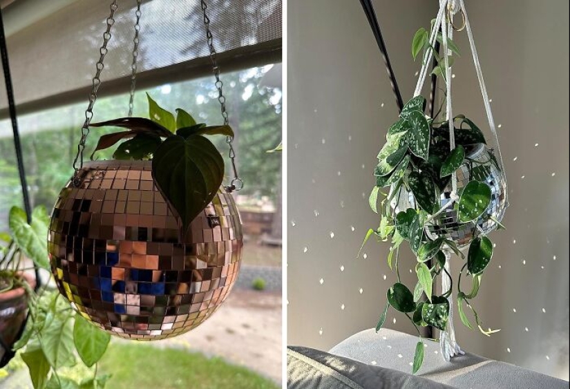 12 Must-Haves For Plant Parents Reaching For The Leafy Pinnacle
