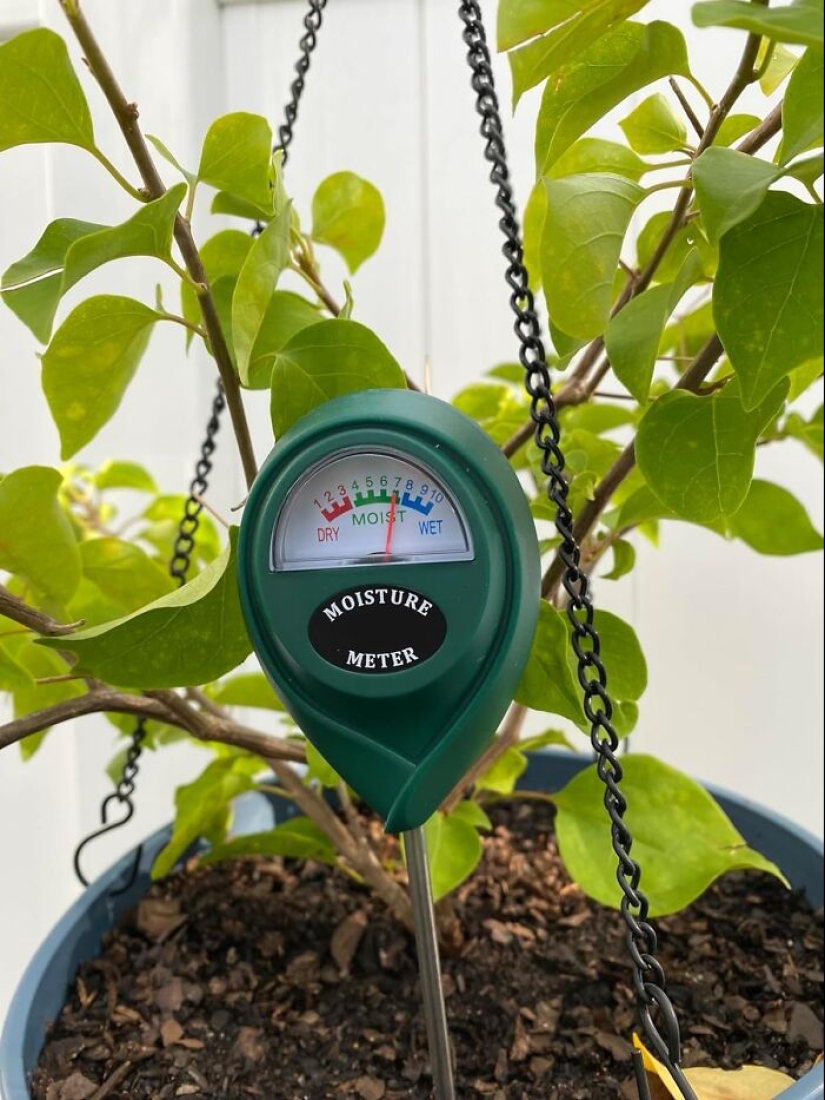 12 Must-Haves For Plant Parents Reaching For The Leafy Pinnacle