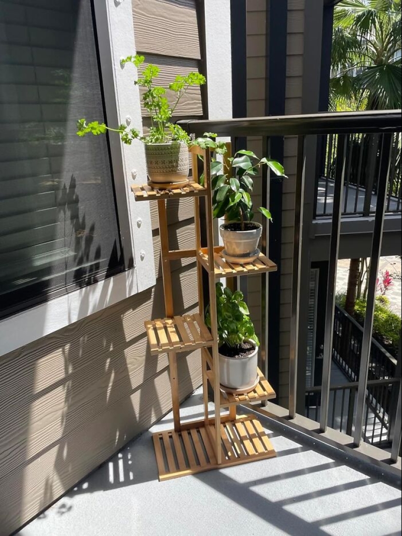 12 Must-Haves For Plant Parents Reaching For The Leafy Pinnacle