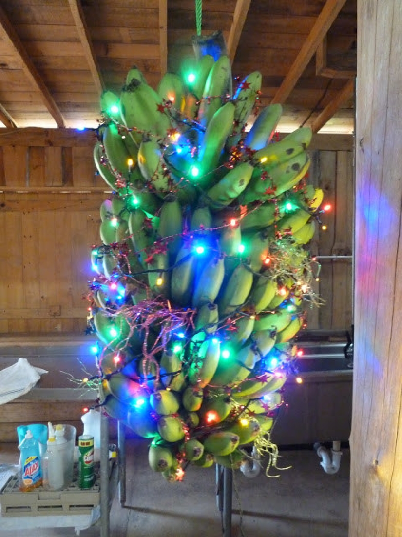 12 tradiciones navideñas que te sorprenderán 12 tradiciones navideñas que te sorprenderán