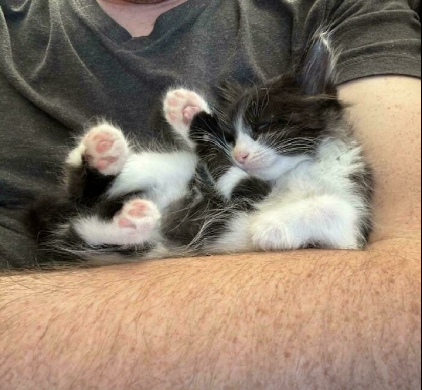 12 Wholesome Pics Of Adopted Pets That Will Never Have To Be Alone Again