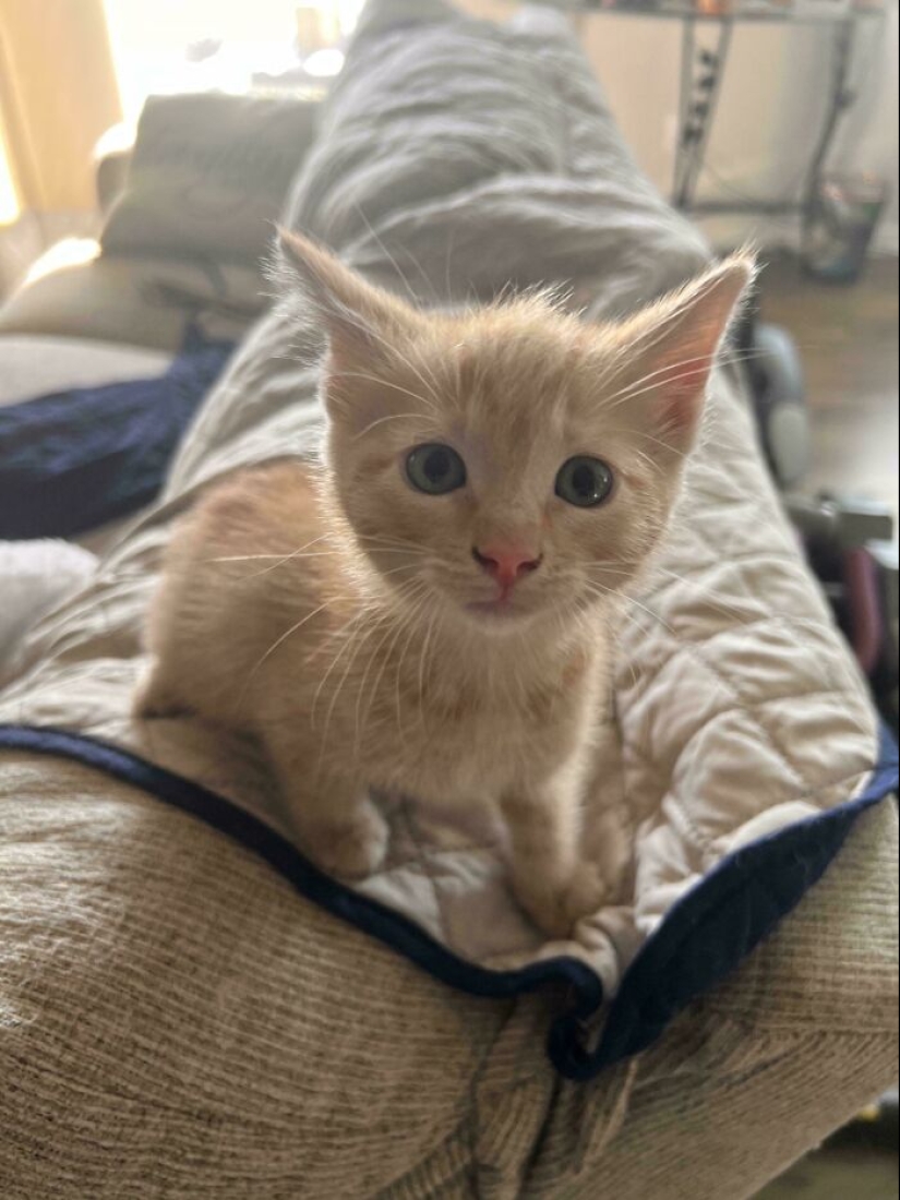 12 Wholesome Pics Of Adopted Pets That Will Never Have To Be Alone Again
