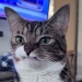13 Absolutely Adorable Animal Pics To Save Your Day 13 Absolutely Adorable Animal Pics To Save Your Day