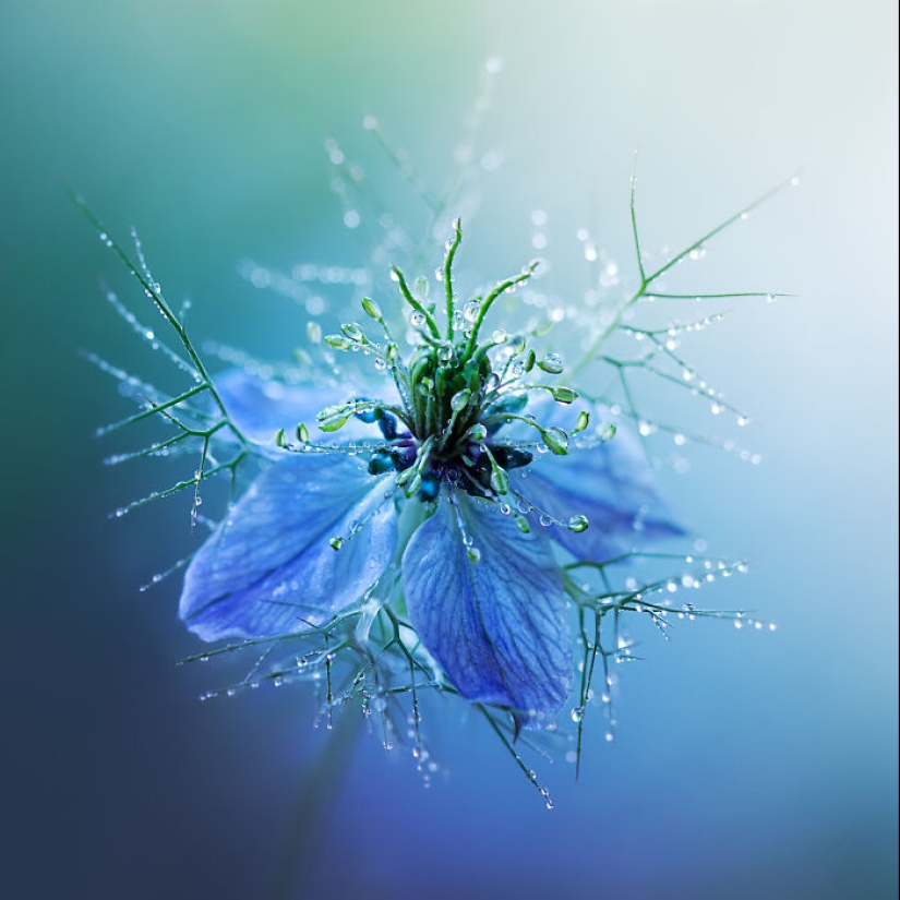 13 Captivating Entries From The 2023 Water Challenge By Close-Up Photographer Of The Year