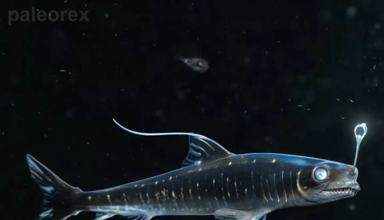 13 Captivating Speculative Evolutions Of Animals By Paleorex 13 Captivating Speculative Evolutions Of Animals By Paleorex