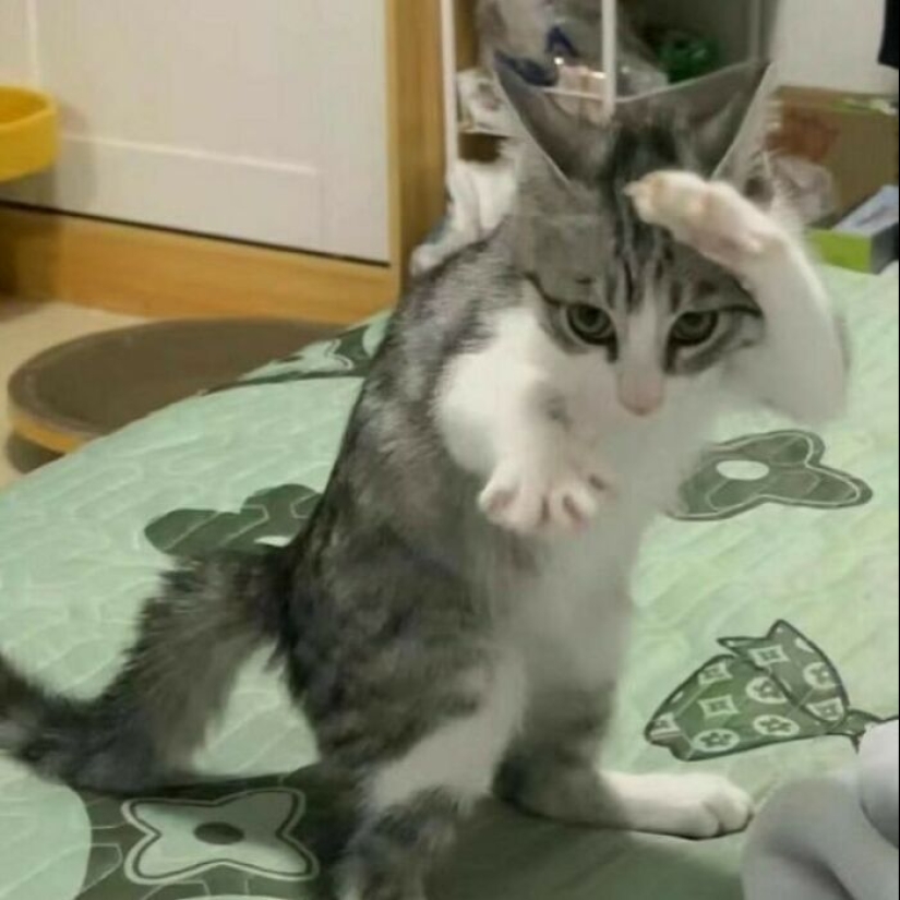 13 Confusing And Funny Photos Without Any Context