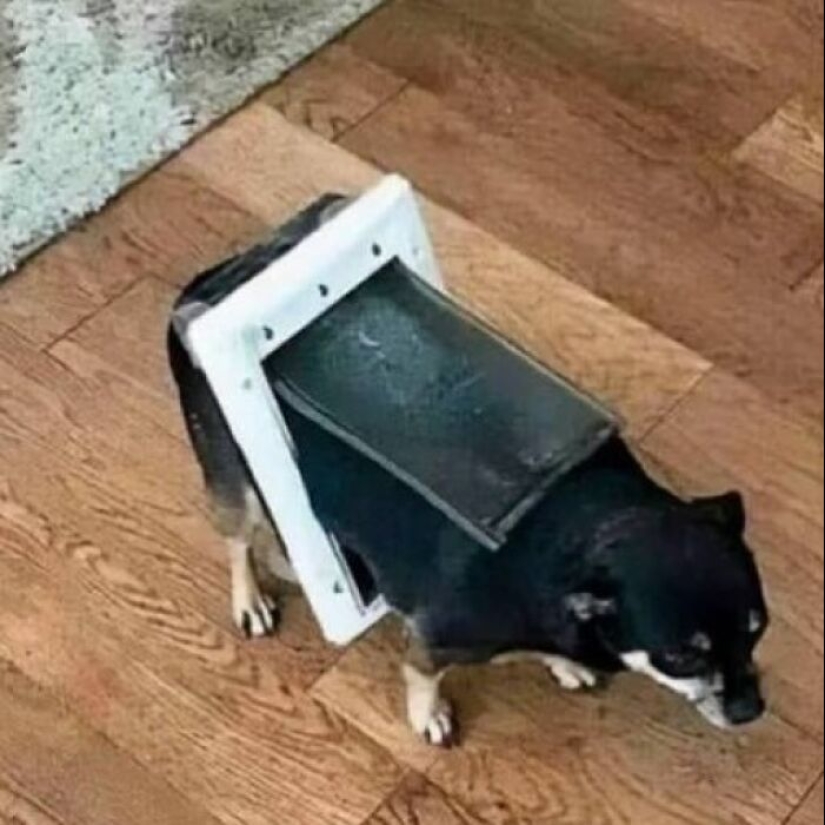 13 Confusing And Funny Photos Without Any Context