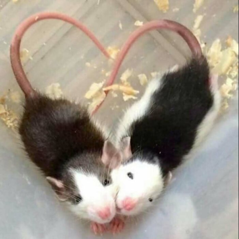 13 Confusing And Funny Photos Without Any Context