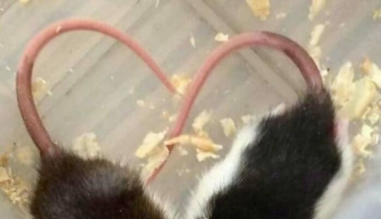 13 Confusing And Funny Photos Without Any Context 13 Confusing And Funny Photos Without Any Context
