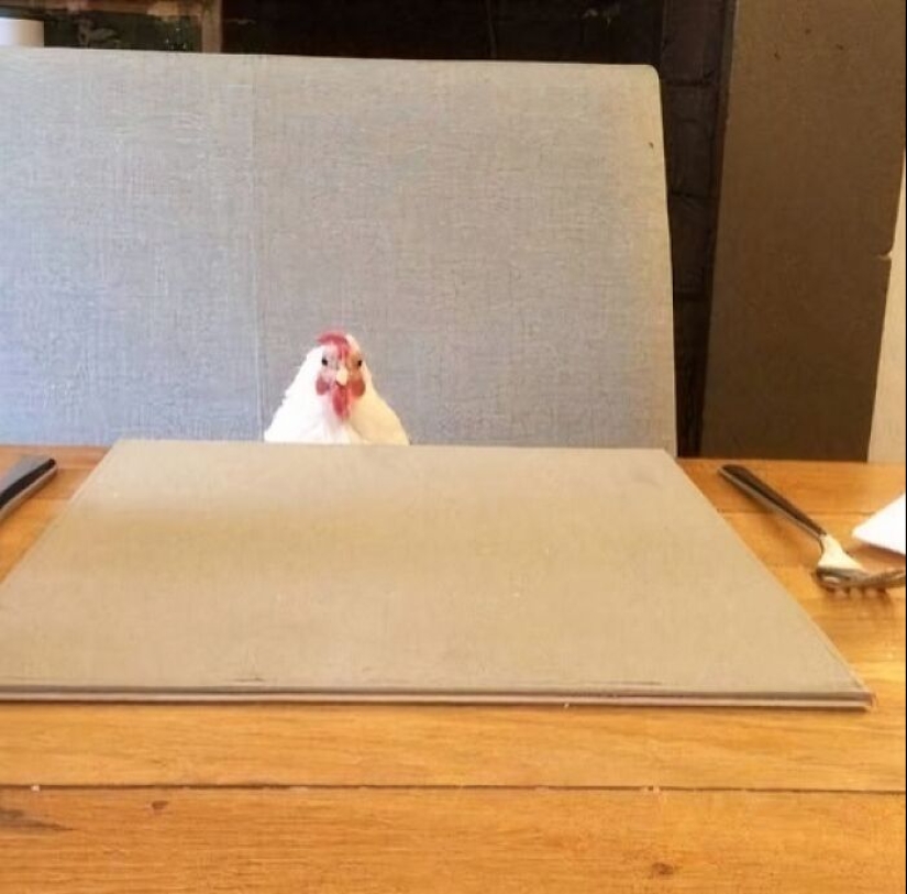 13 Confusing And Funny Photos Without Any Context